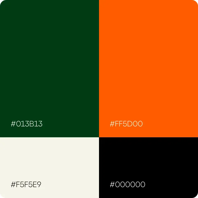 Identidade Visual Maggisan